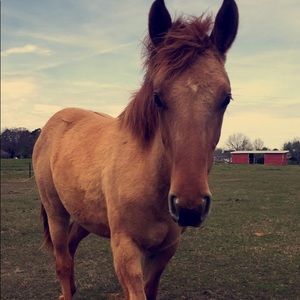 Meet your Posher, Kelly